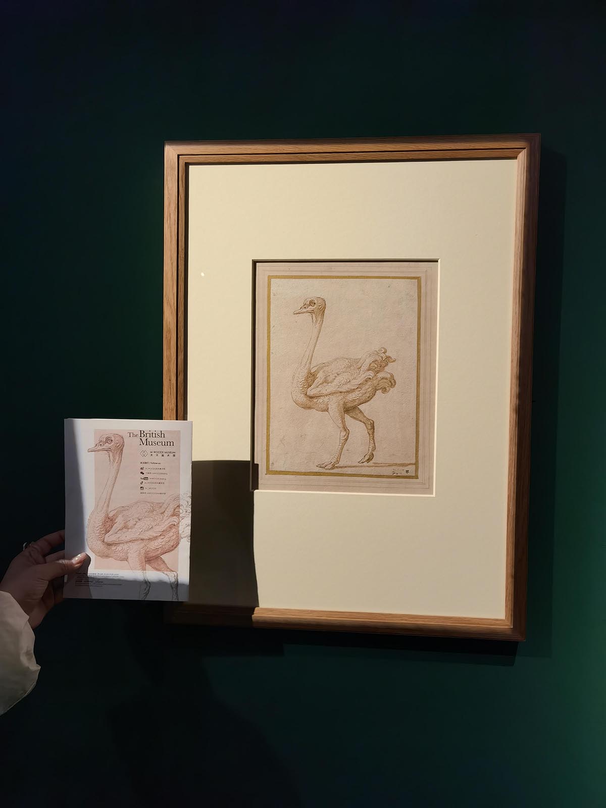 images/art/2021-11-21 意大利文艺复兴纸上绘画/44.jpg